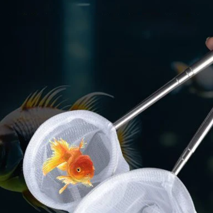 Aquarium Fish Net Small - อุปกรณ์ทำความสะอาดตู้ปลา ตาข่ายจับปลาสแตนเลสแบบยืดหดได้ สำหรับจับกุ้งขนาดเล็ก อุปกรณ์เสริมสำหรับตู้ปลา