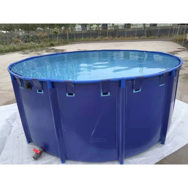 Aquarium Fish Popular - ขายส่ง บ่อเลี้ยงปลาคาร์ฟ PVC ขนาดใหญ่ สำหรับเพาะพันธุ์ ใช้ในฟาร์มเพาะเลี้ยงสัตว์น้ำ