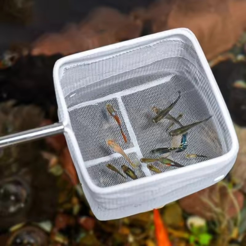 อุปกรณ์ทำความสะอาดตู้ปลา ตาข่า - Aquarium Fish Net Small บทวิจารณ์และราคา