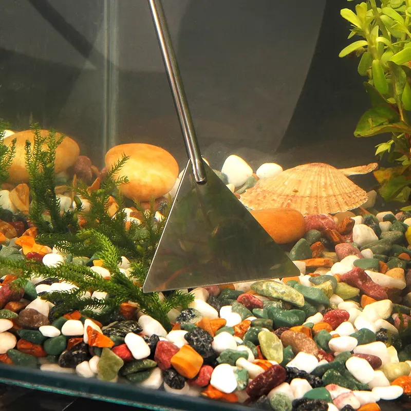 ชุดอุปกรณ์ตู้ปลา ชุดอุปกรณ์ตกแ - Aquarium Fish Popular บทวิจารณ์และราคา