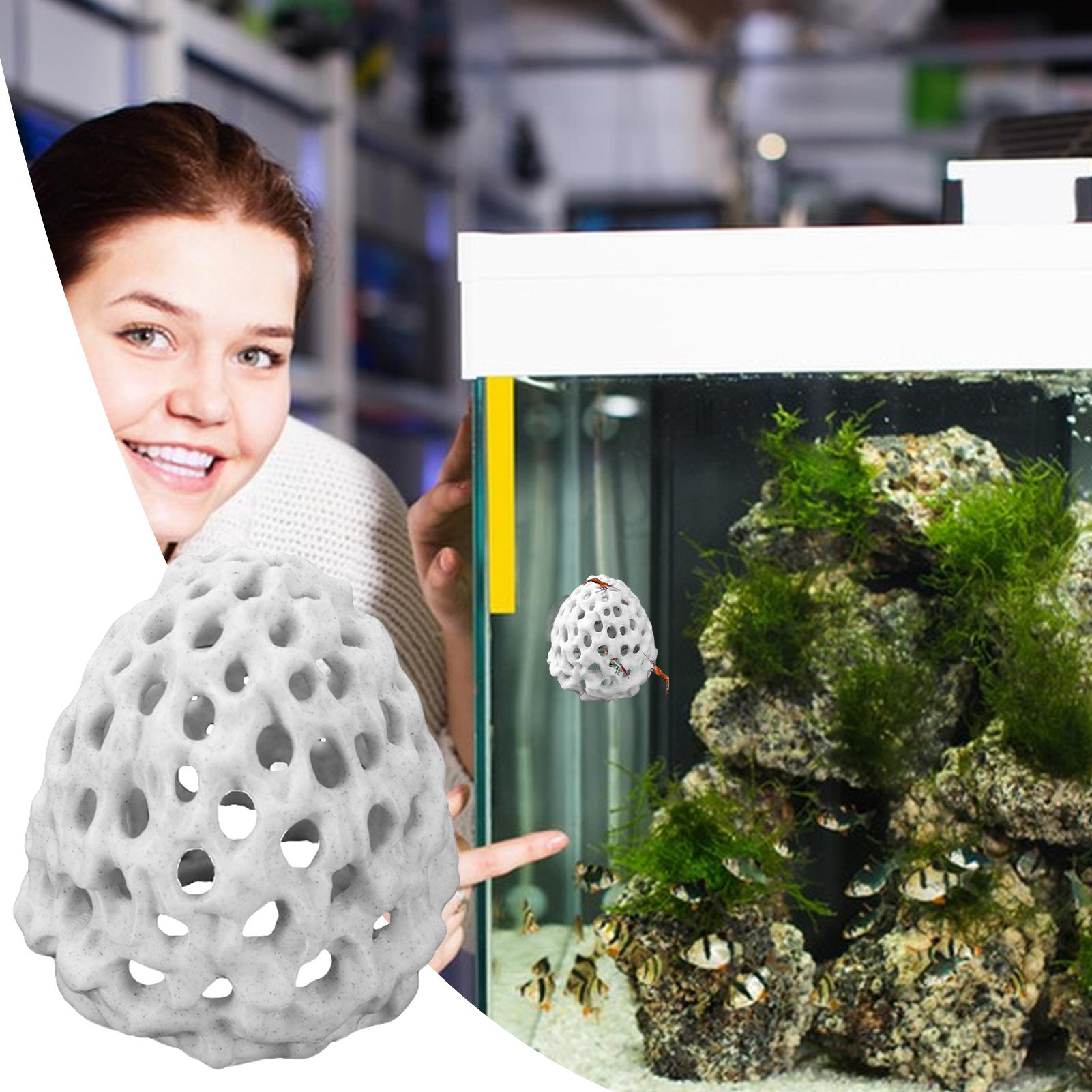 บ้านกุ้งขนาดเล็กสำหรับตู้ปลา ถ - Aquarium Fish Hiding Spot บทวิจารณ์และราคา