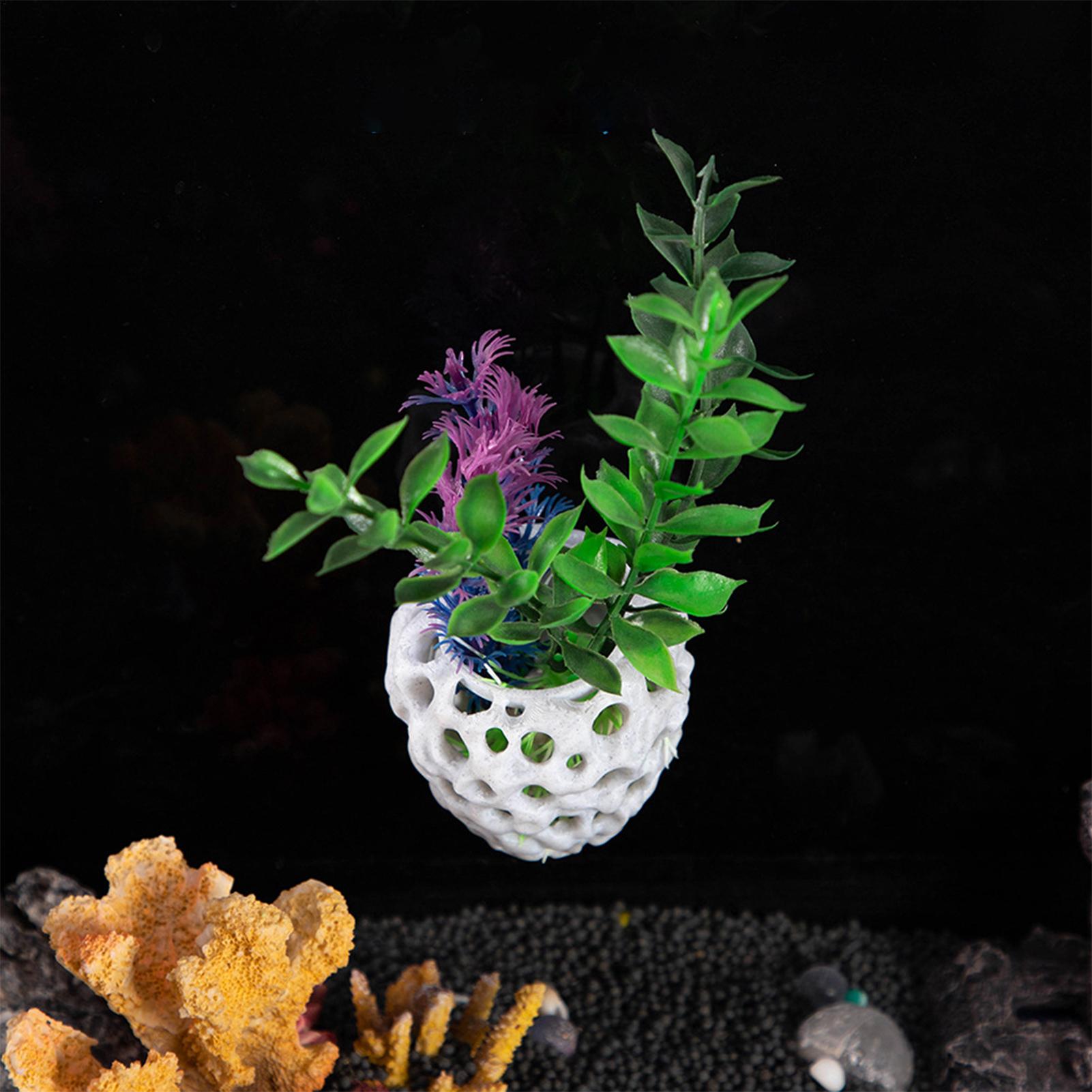 บ้านกุ้งขนาดเล็กสำหรับตู้ปลา ถ - Aquarium Fish Hiding Spot บทวิจารณ์และราคา