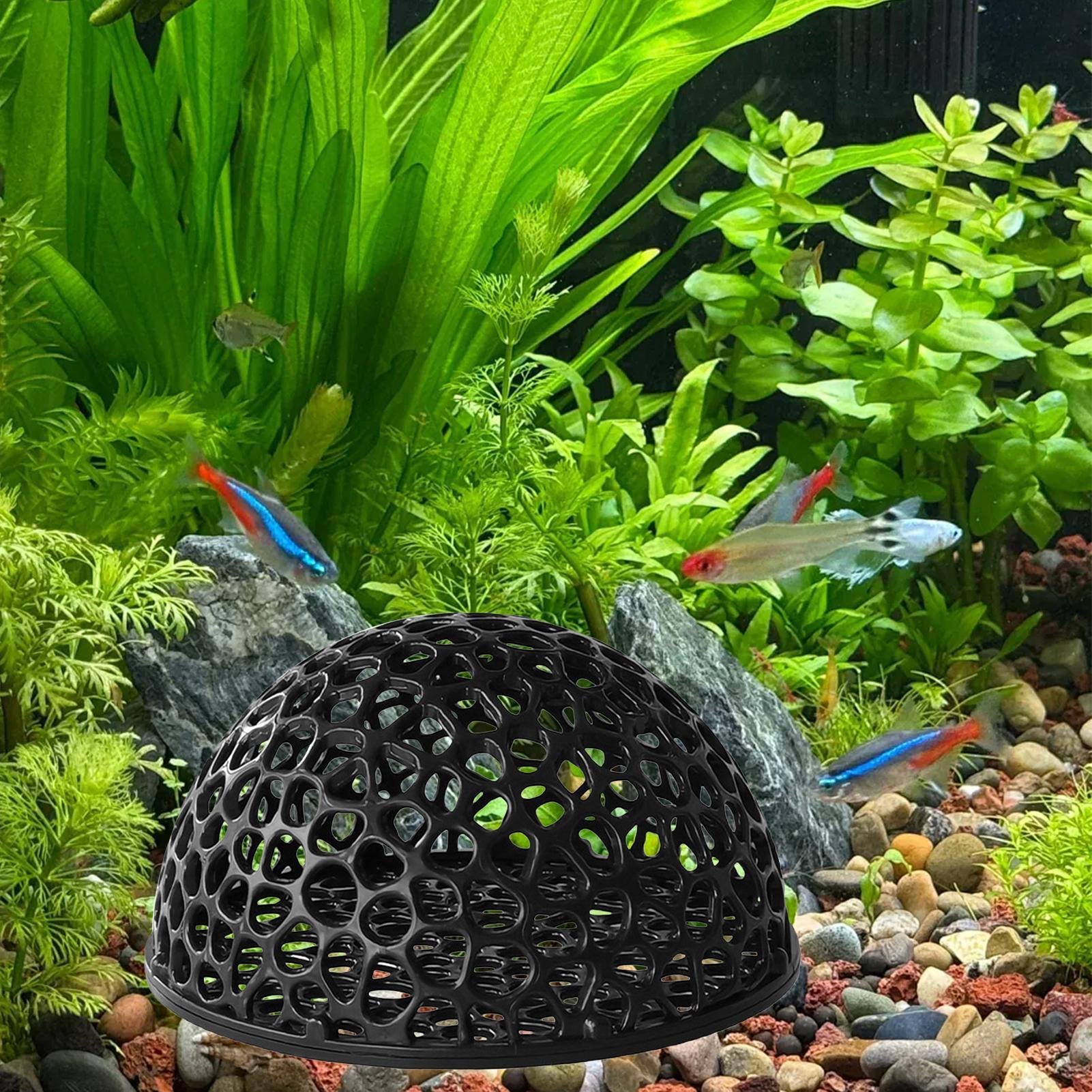 บ้านกุ้งในตู้ปลา ถ้ำสำหรับปลาแ - Aquarium Fish Hiding Spot บทวิจารณ์และราคา