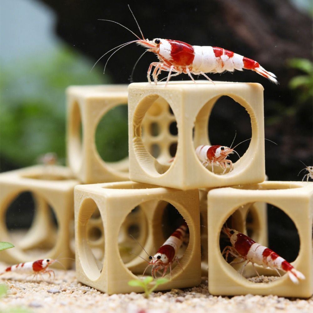 ที่หลบซ่อนกุ้งในตู้ปลาแบบพิมพ์ - Aquarium Fish Hiding Spot บทวิจารณ์และราคา