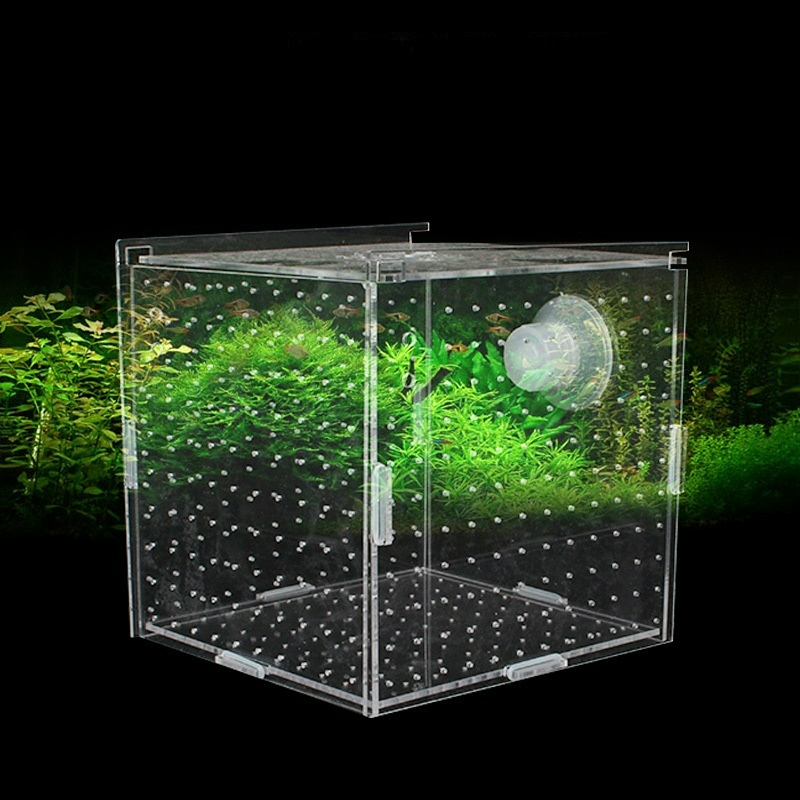 อะคริลิคกล่องแยกถังปลาโปร่งใส  - Aquarium Fish Net Small บทวิจารณ์และราคา