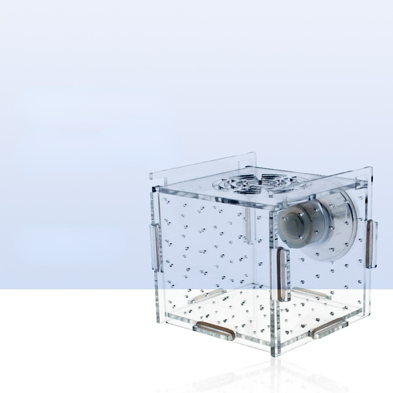 อะคริลิคกล่องแยกถังปลาโปร่งใส  - Aquarium Fish Net Small บทวิจารณ์และราคา
