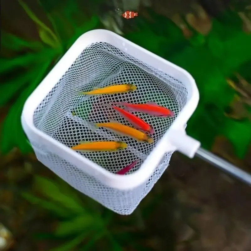 ตาข่ายจับปลาและกุ้งแบบยืดหดได้ - Aquarium Fish Net Small บทวิจารณ์และราคา
