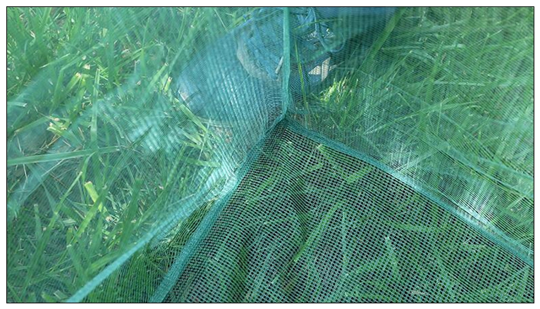ตกปลา 3 มม.ตาข่ายขนาดเล็กจับปล - Aquarium Fish Net Small บทวิจารณ์และราคา