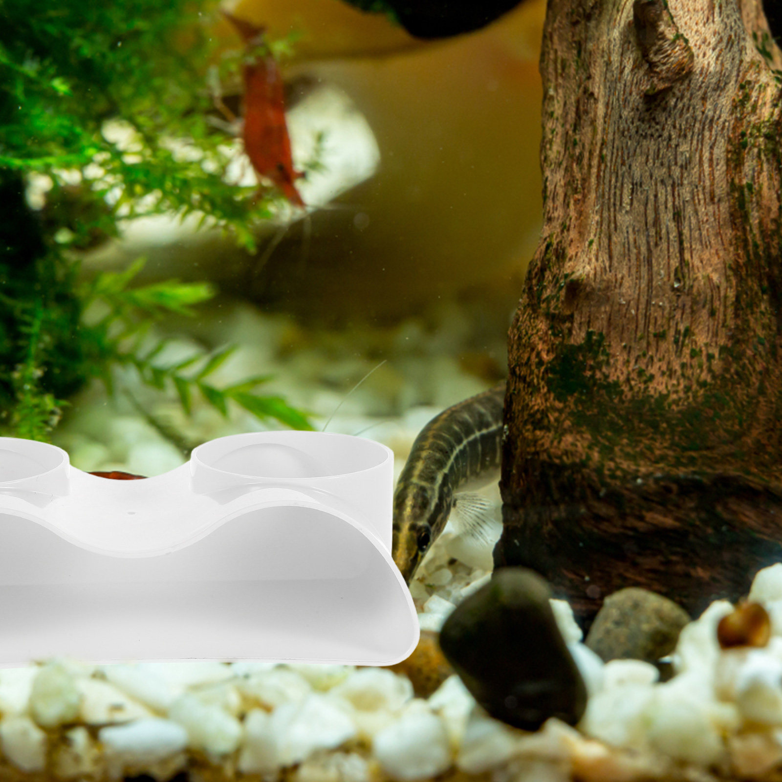 อุโมงค์ตกแต่งตู้ปลาสำหรับปลาแล - Aquarium Fish Hiding Spot บทวิจารณ์และราคา