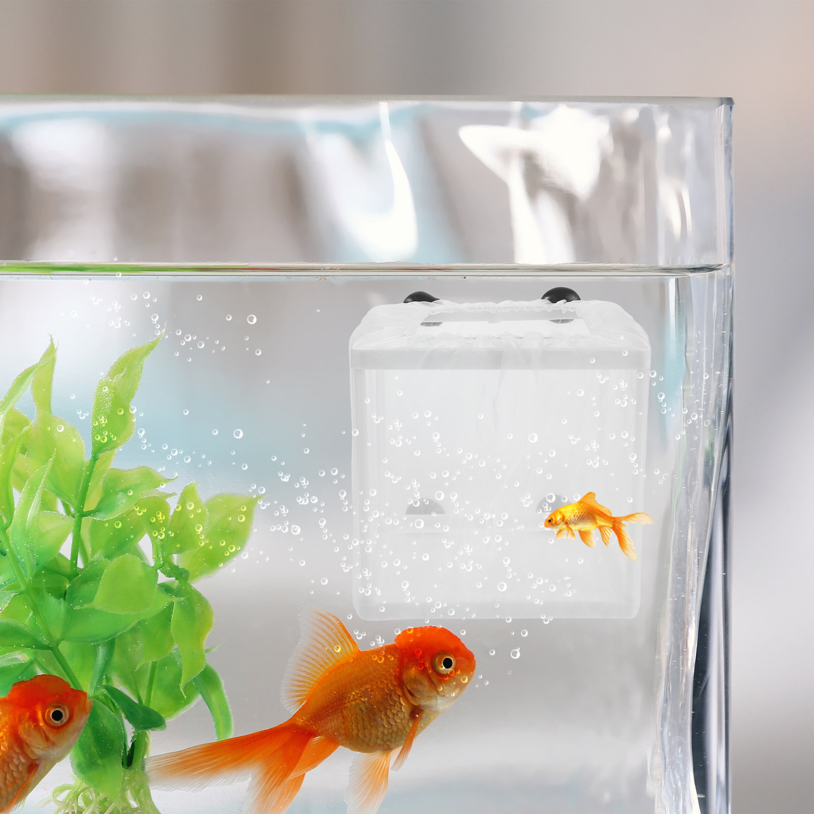 กล่องเพาะพันธุ์ปลา 2 ชิ้น สำหร - Aquarium Fish Net Small บทวิจารณ์และราคา