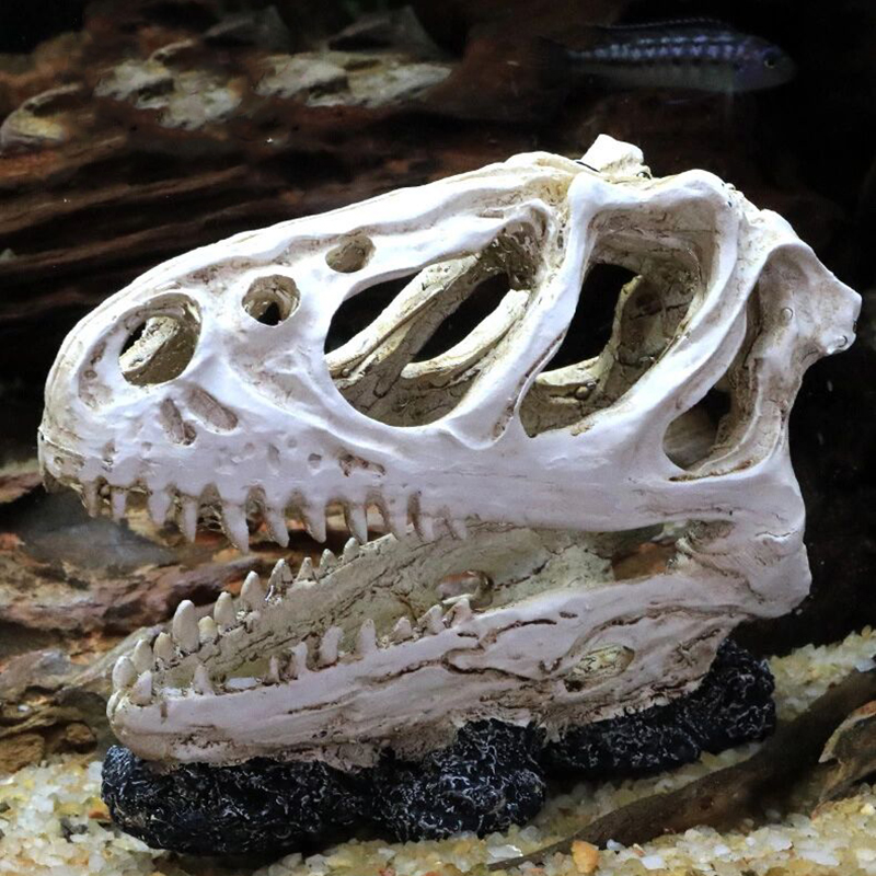 Aquarium Fish Tank ไดโนเสาร์กะ - Aquarium Fish Popular บทวิจารณ์และราคา