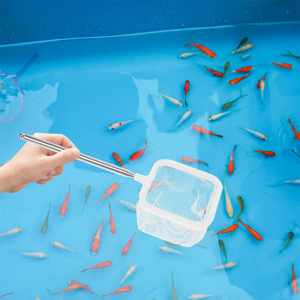 ตาข่ายกรองตู้ปลาสแตนเลสแบบยืดห - Aquarium Fish Net Small บทวิจารณ์และราคา