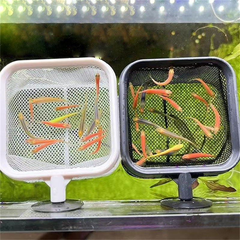 AquariumFish ตกปลาสุทธิสแตนเลส - Aquarium Fish Net Small บทวิจารณ์และราคา