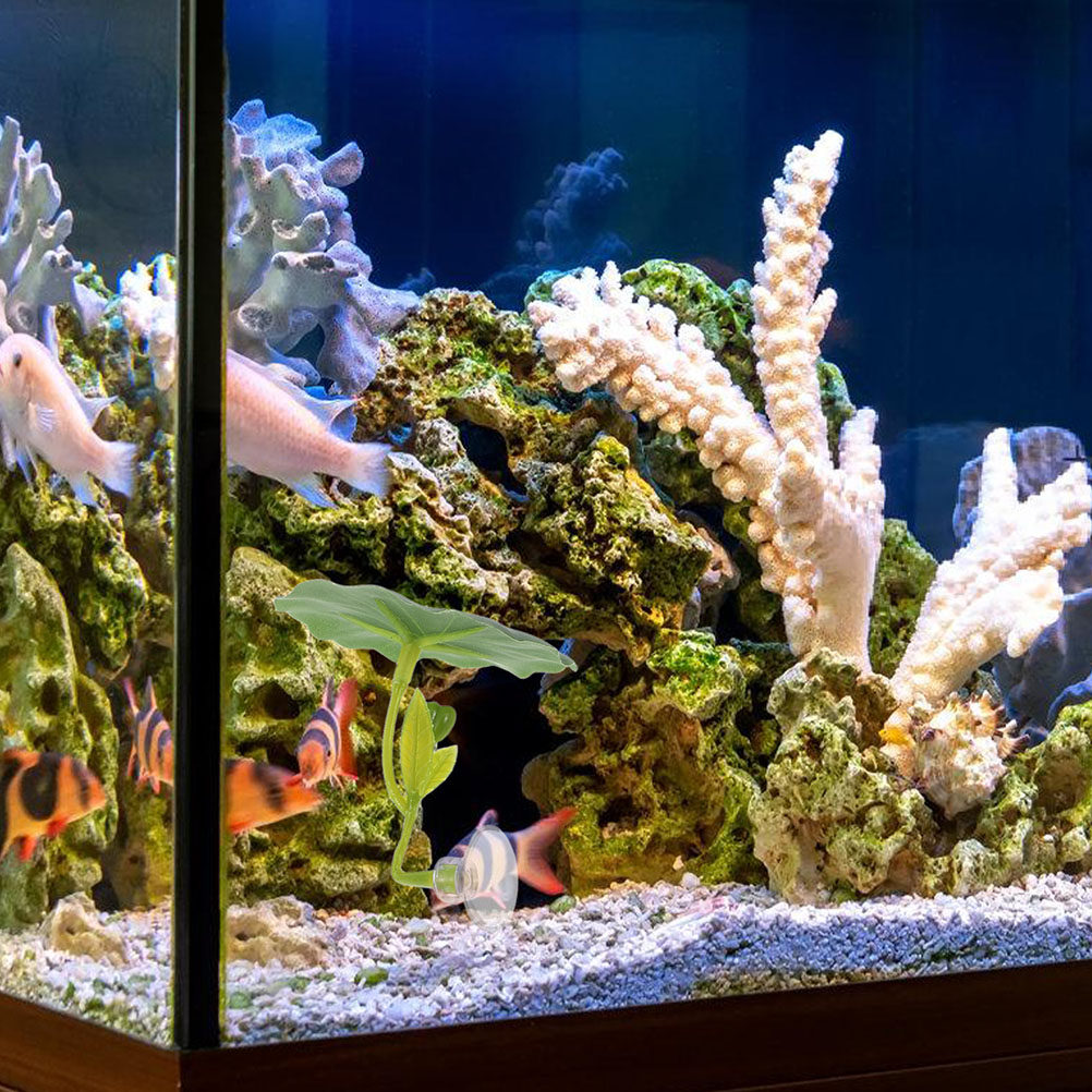 ใบบัวเทียมสำหรับปลาเบต้า 2 ชิ้ - Aquarium Fish Hiding Spot บทวิจารณ์และราคา