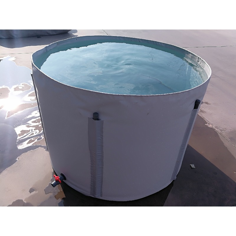 ขายส่ง บ่อเลี้ยงปลาคาร์ฟ PVC ข - Aquarium Fish Popular บทวิจารณ์และราคา
